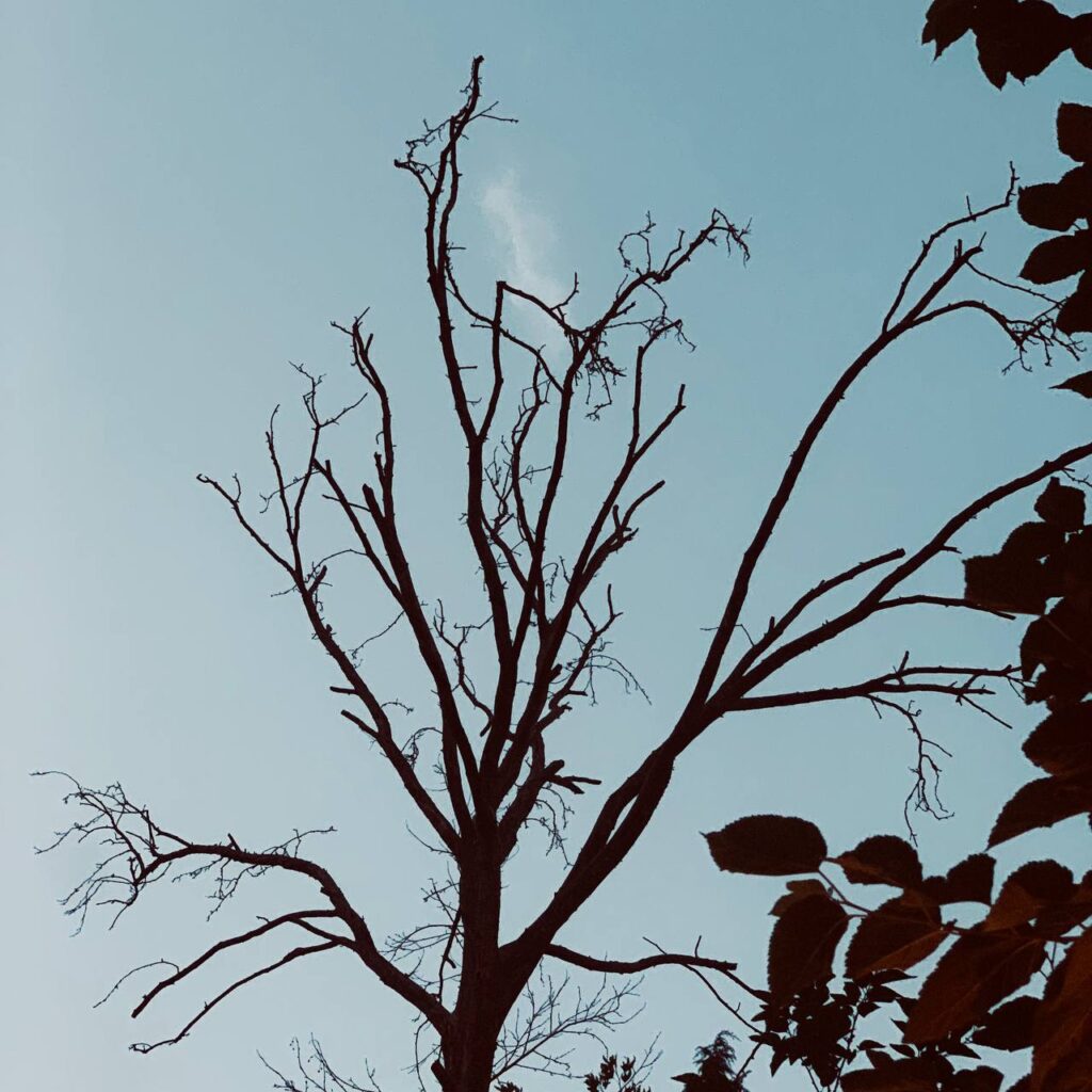 photo_۲۰۲۶-۰۷-۰۸_۲۲-۳۸-۵۰