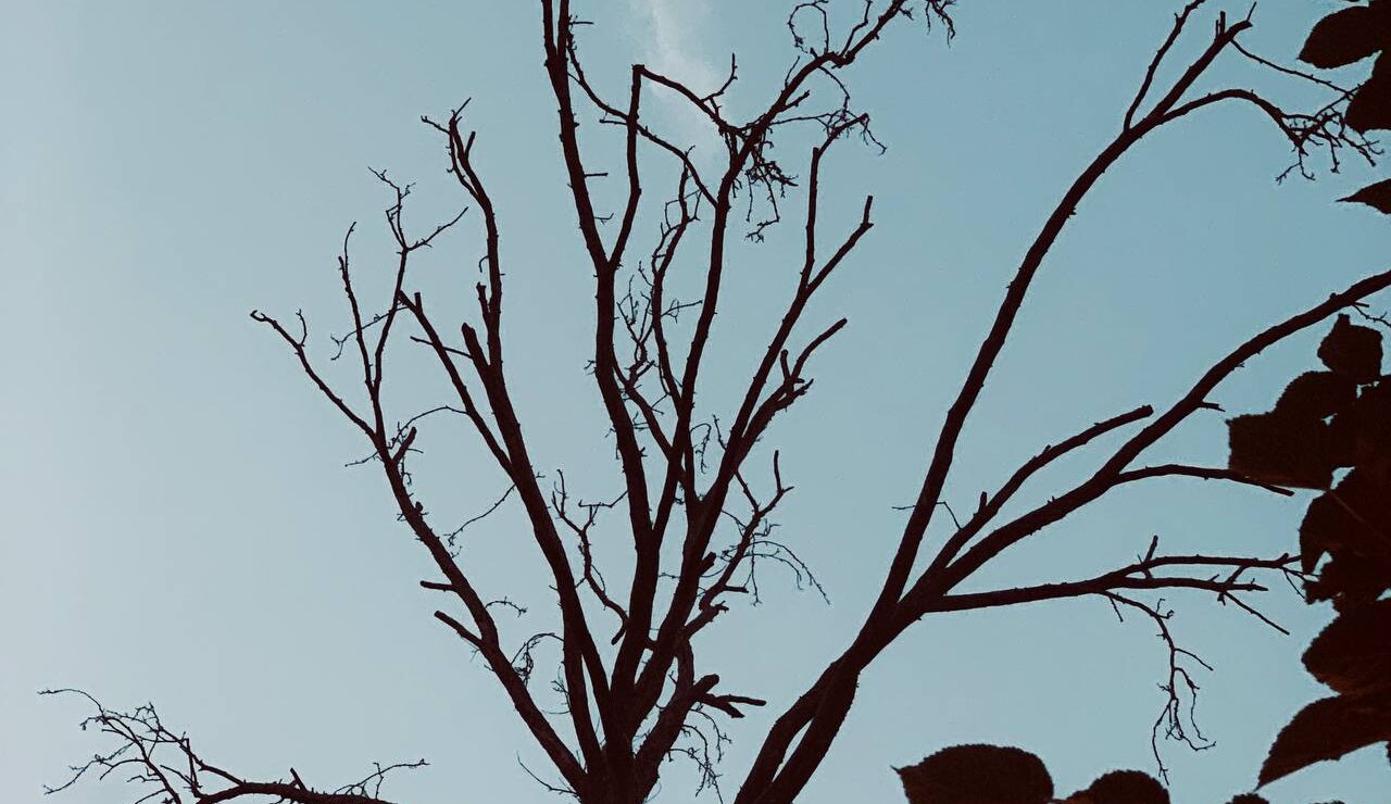photo_۲۰۲۶-۰۷-۰۸_۲۲-۳۸-۵۰