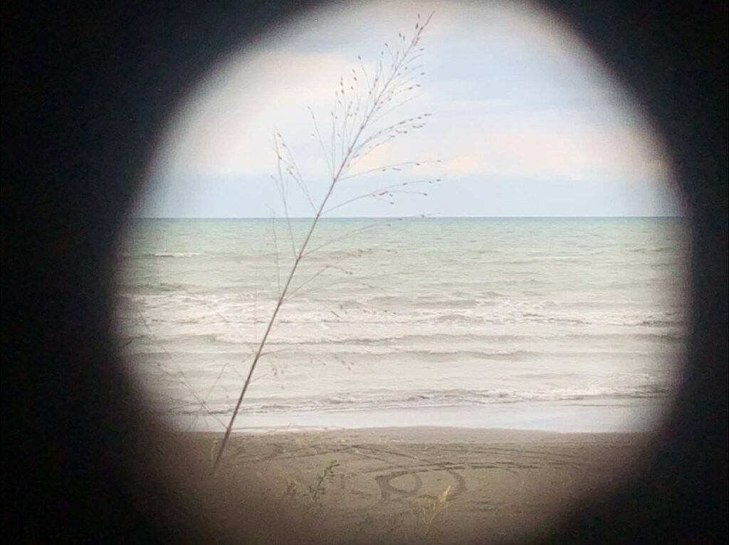 photo_۲۰۲۵-۰۱-۰۳_۲۳-۱۴-۴۰